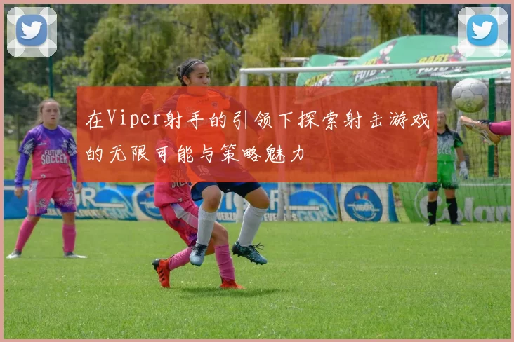 在Viper射手的引领下探索射击游戏的无限可能与策略魅力