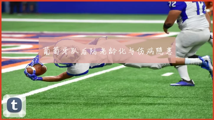 葡萄牙队后防老龄化与伤病隐患