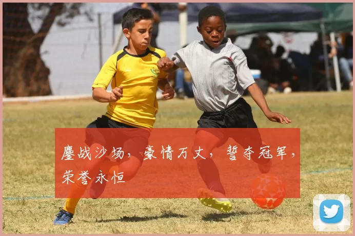 鏖战沙场，豪情万丈，誓夺冠军，荣誉永恒