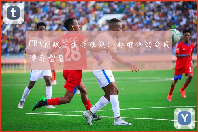 CBA新政下生存法则：赵继伟的合同博弈智慧