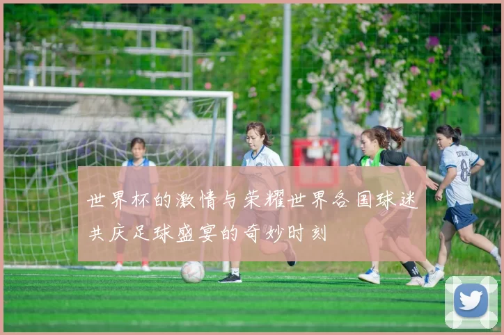 世界杯的激情与荣耀世界各国球迷共庆足球盛宴的奇妙时刻